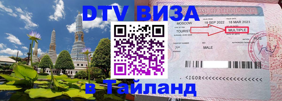 Оформление DTV визы под ключ: стоимость и тарифы, только загранпаспорт - Серпухов  21.11.2025 